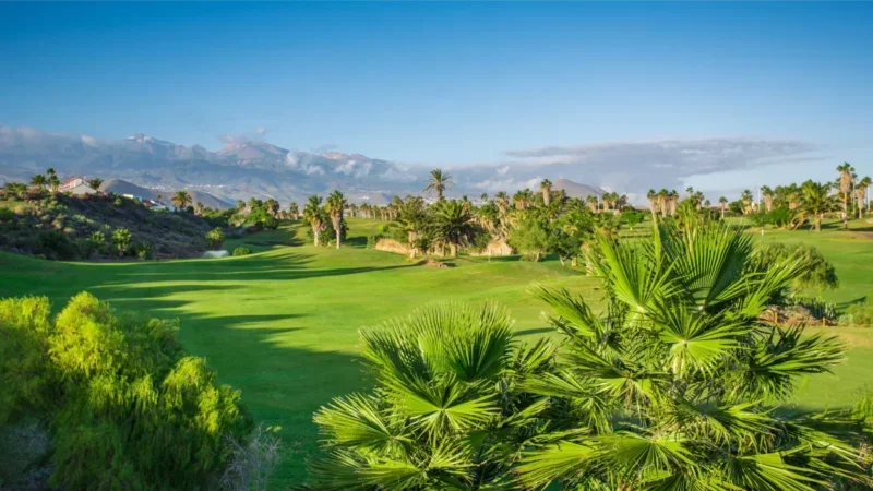 Golfin paratiisi: Teneriffan hienoimmilla golfklubeilla