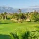 Golfin paratiisi: Teneriffan hienoimmilla golfklubeilla