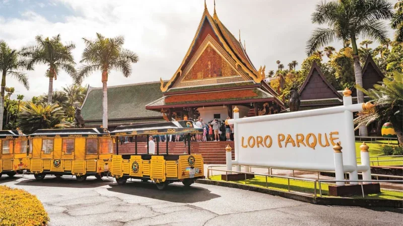 Loro Parque Tenerife – Tutustu saaren luonnonihmeen sydämeen