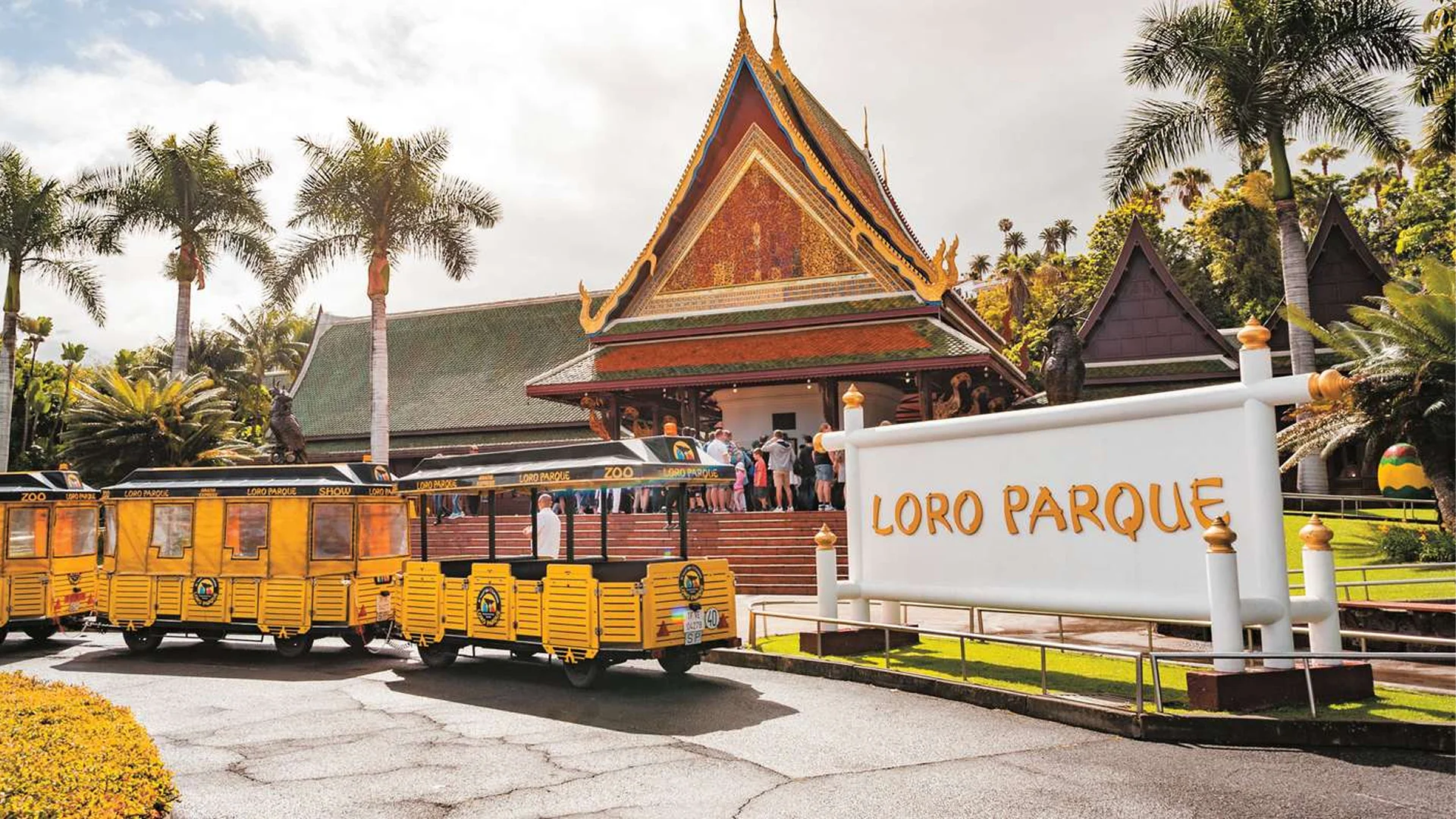 Loro Parque Tenerife – Tutustu saaren luonnonihmeen sydämeen