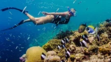 Virran mukana uiminen: Syväsukellus Teneriffan snorklauskohteisiin