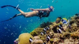Virran mukana uiminen: Syväsukellus Teneriffan snorklauskohteisiin